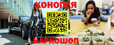 амф Сланцы