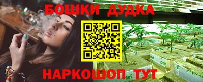 амф Сланцы