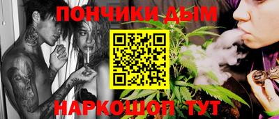 амф Сланцы