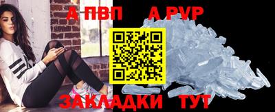 амф Сланцы